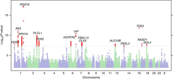 Analysis of GWAS Data with a Focus on Prediction of Complex Phenotypes