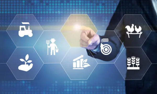 Digital Entrepreneurship