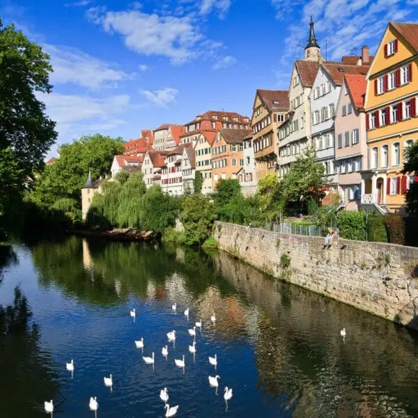 Society and Artificial Intelligence in Europe Today