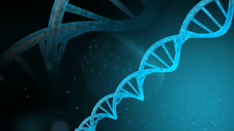 Gene Mapping