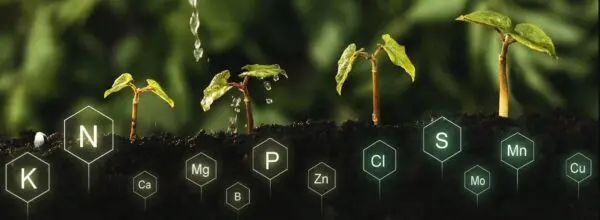 Integrated Nutrient Management
