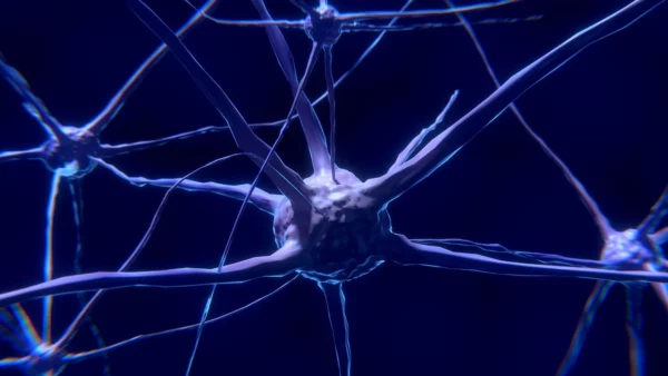 Integrative Neuroimaging