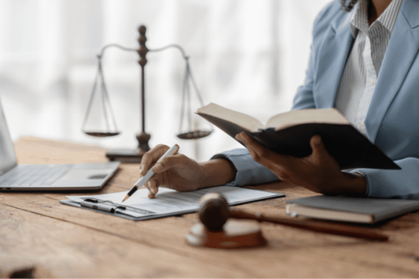 Political Science and Law Focus