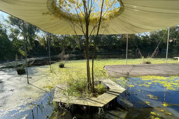 Utopian Relationships: Autoethnographies of Naturecultures