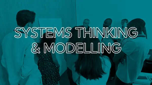 Strategic public health policy and planning: an introduction to systems thinking and modelling for evidence-based decision making