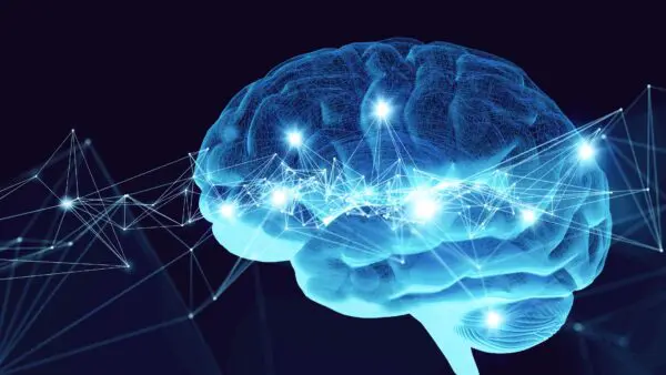 The Interdisciplinary Summer School on Cognitive Neuroscience